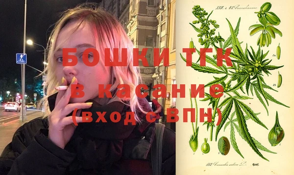 гидра Алексеевка