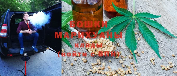 гидра Алексеевка