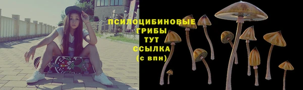 молекула духа Алексин