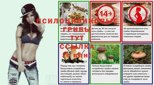 гидра Алексеевка