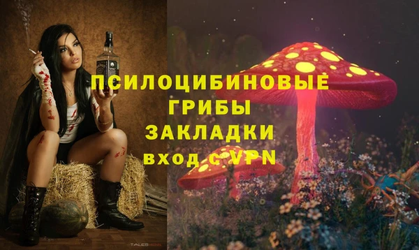 молекула духа Алексин