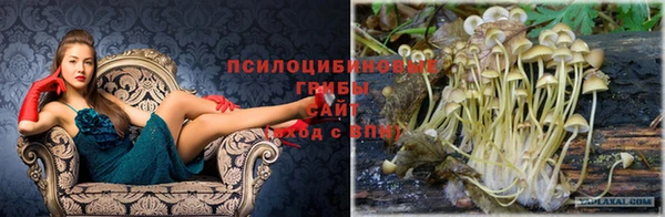 кокаин Алзамай