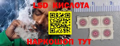 ПСИЛОЦИБИНОВЫЕ ГРИБЫ Гусев