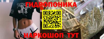 сатива Гусиноозёрск