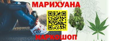 сатива Гусиноозёрск