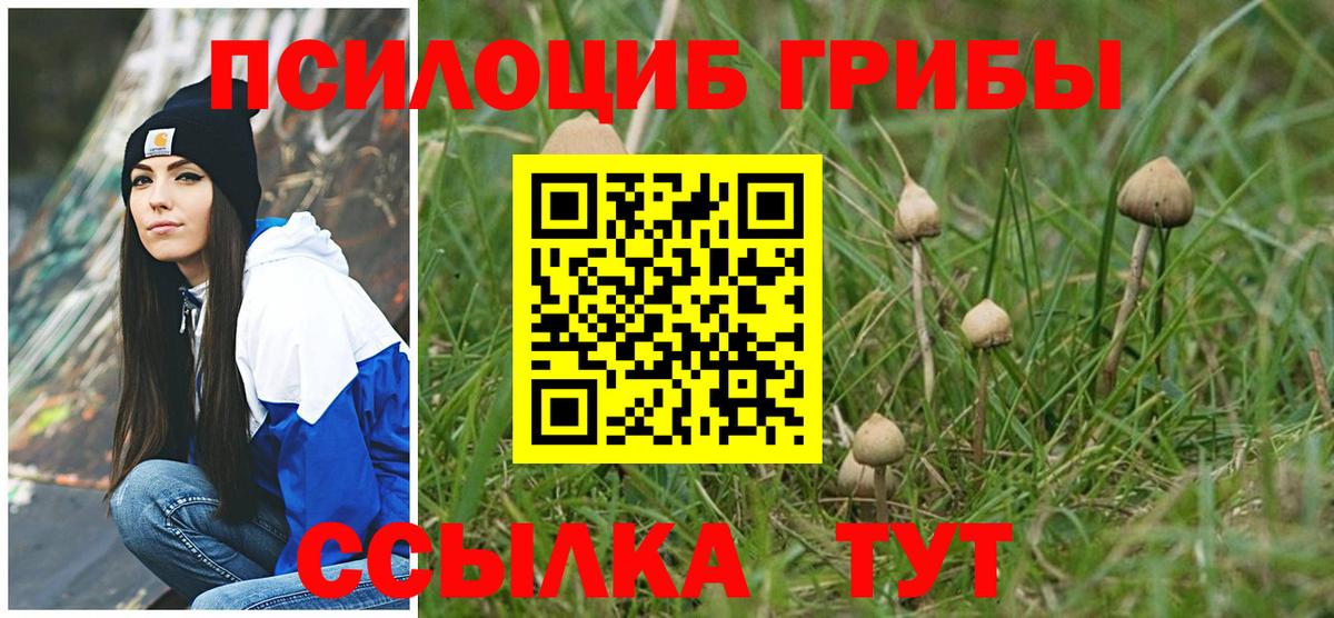 Псилоцибиновые грибы MAGIC MUSHROOMS  Псилоцибиновые грибы MAGIC MUSHROOMS  Вход с VPN  даркнет сайт  Лысьва 