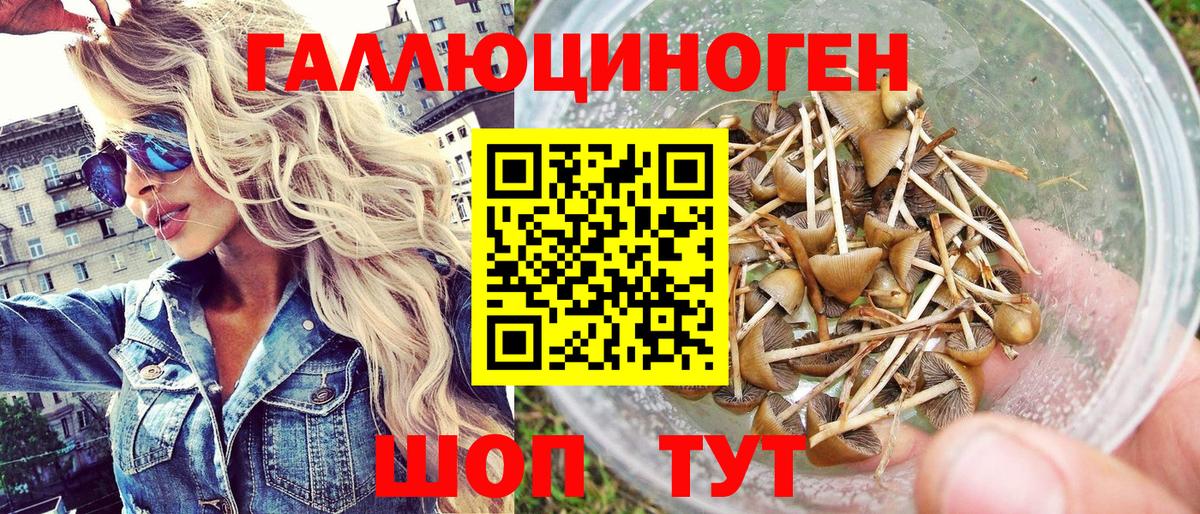 Псилоцибиновые грибы Cubensis Лысьва
